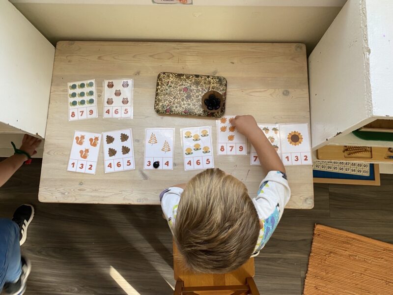 Bastrop Montessori